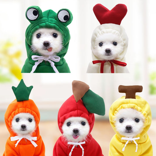 Pet Clothes