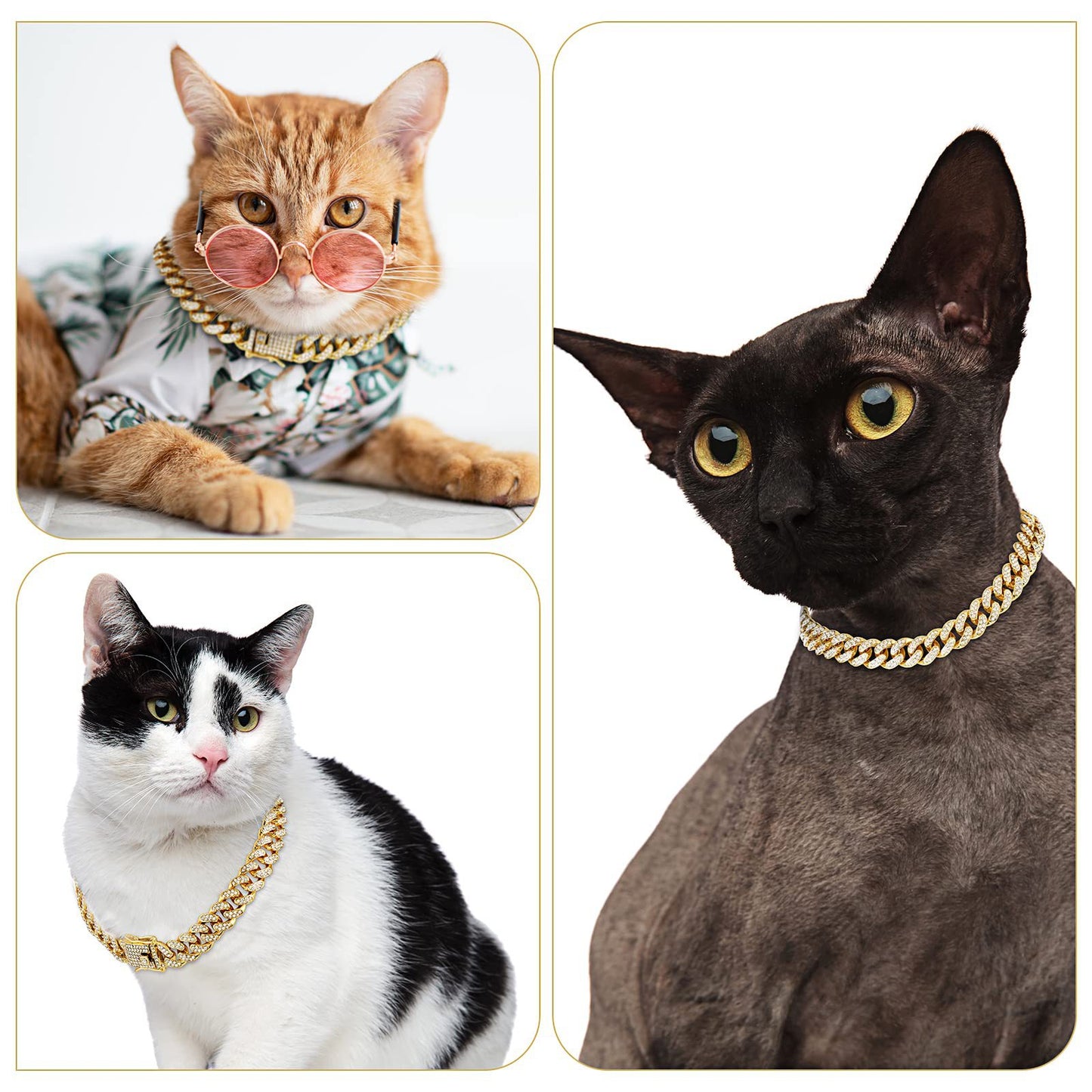 Pet Jewelry