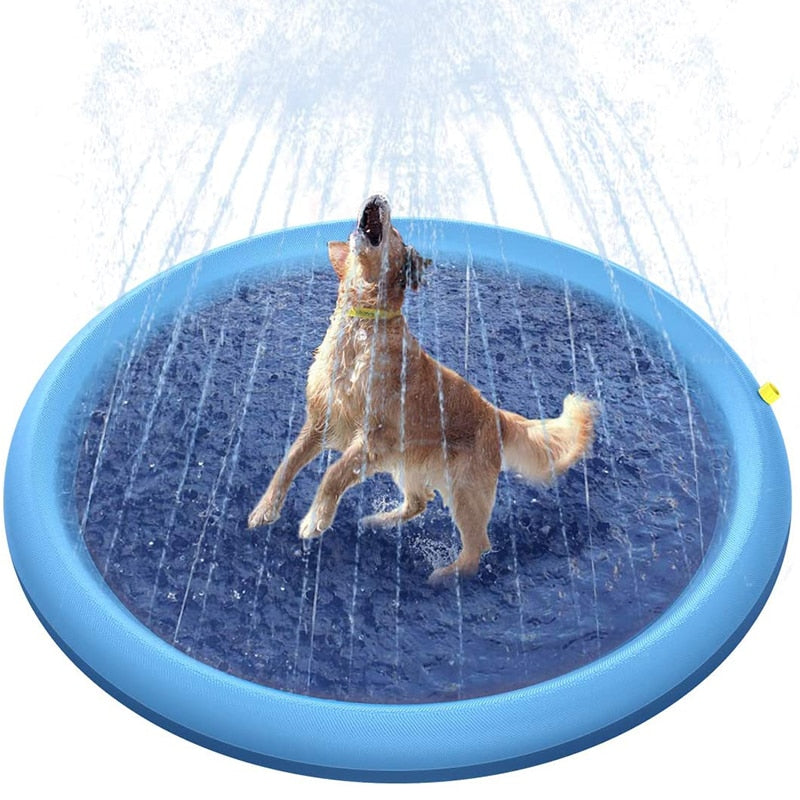 Pet Swimming Pool Water