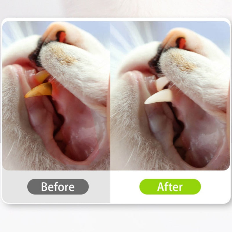 Cat Chew Natural Snack Teeth Cleaning