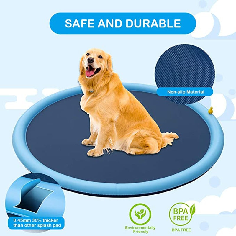 Pet Swimming Pool Water