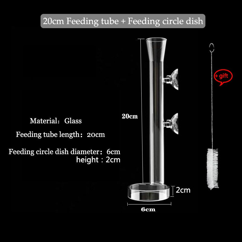 Glass Aquarium Feeding