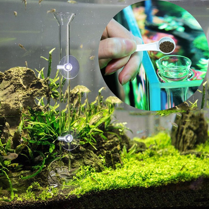 Glass Aquarium Feeding