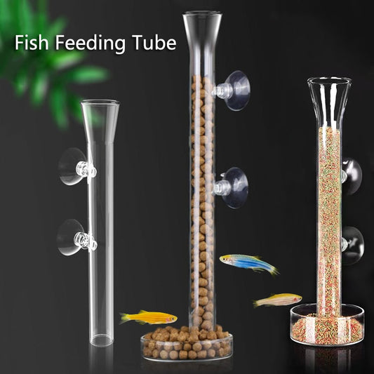 Glass Aquarium Feeding