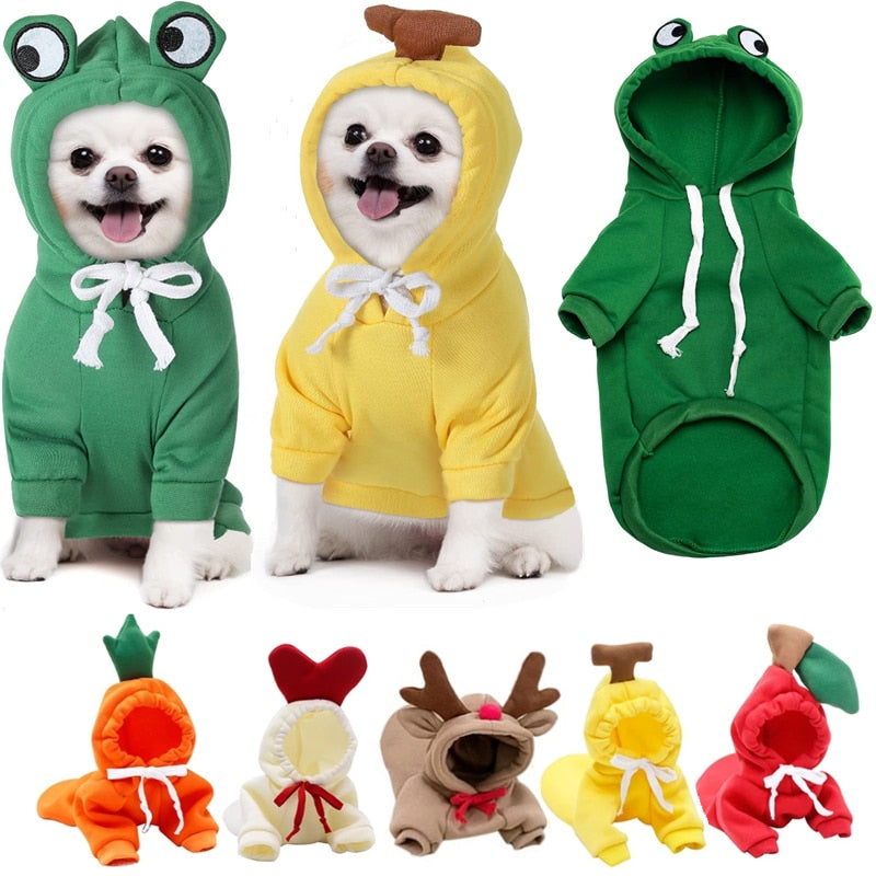 Pet Clothes