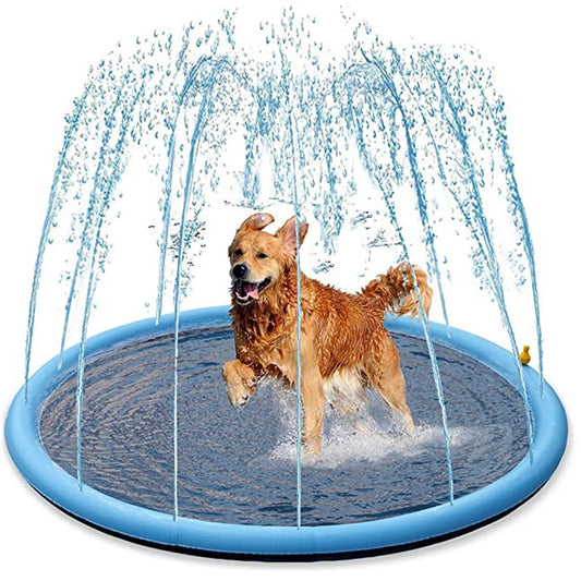 Pet Swimming Pool Water